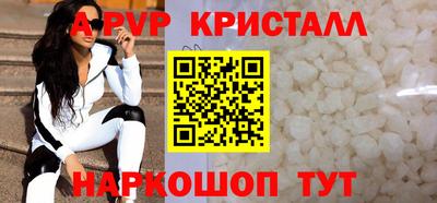 гашик Тара