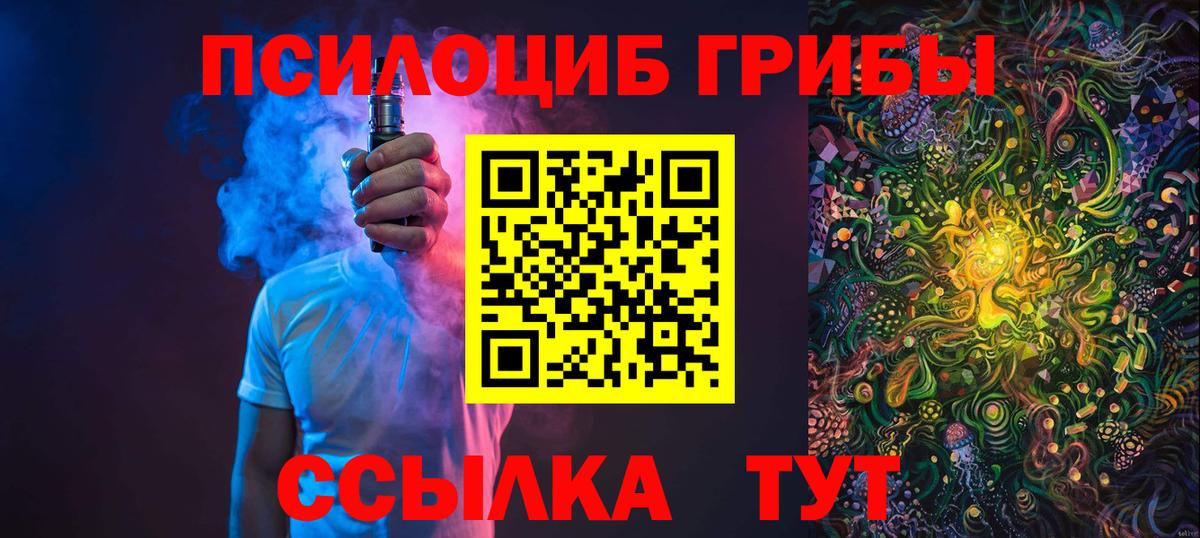 Псилоцибиновые грибы Psilocybine cubensis Мурманск